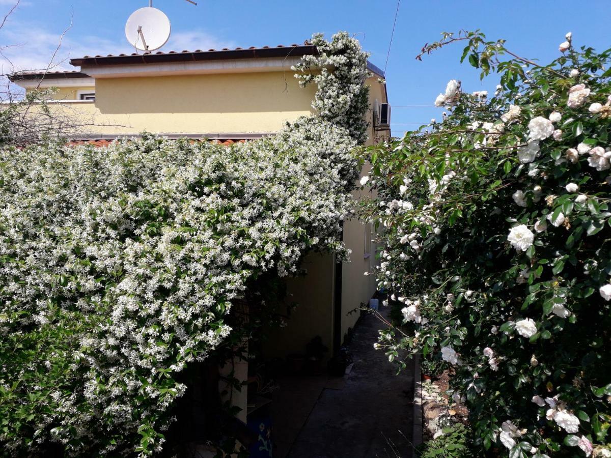 Šišan Apartment Samanta מראה חיצוני תמונה